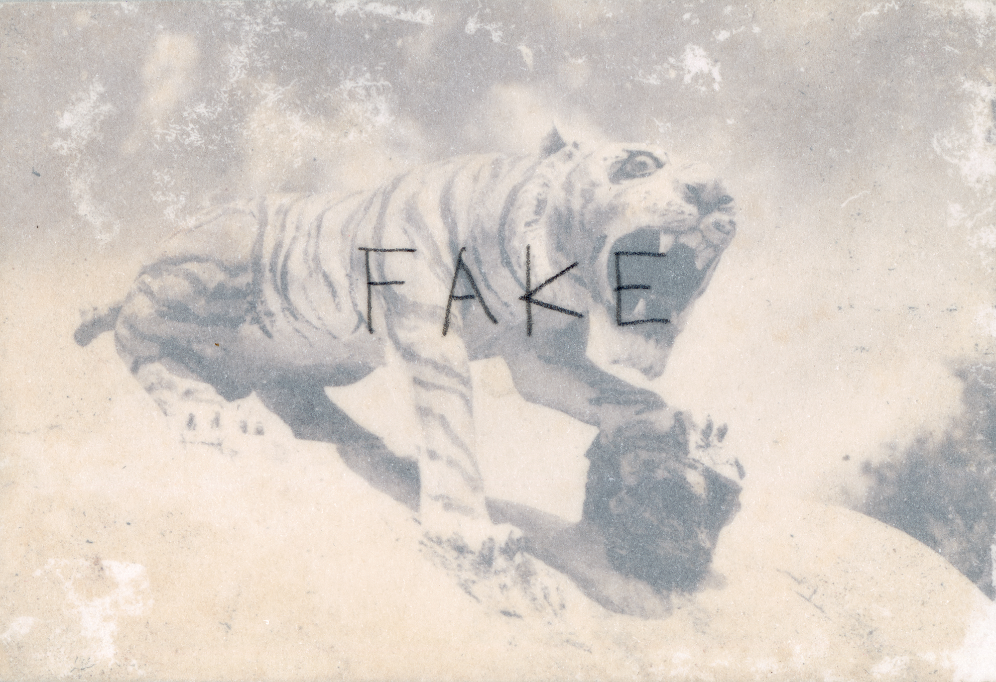 Anonymous Photography Series